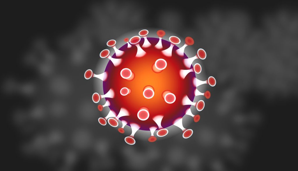 Image of the corona virus